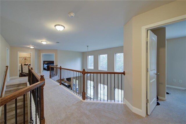 corridor featuring carpet flooring