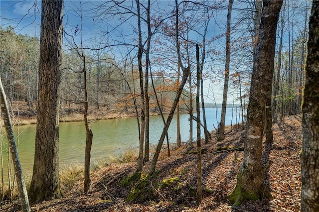 Listing photo 2 for 0 Moccasin Gap Rd, Jackson GA 30233