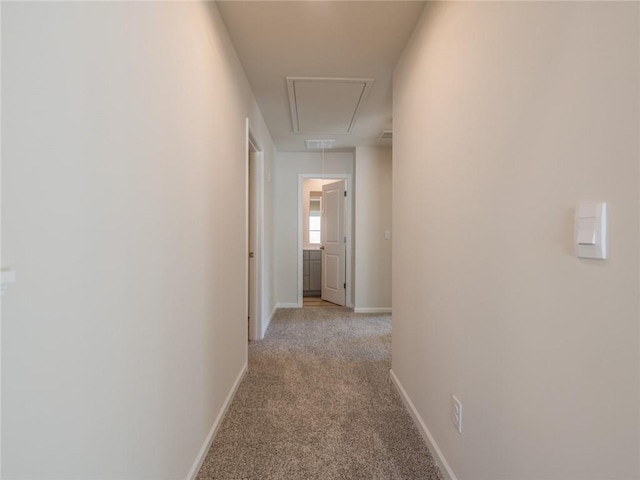 hallway featuring light carpet