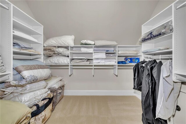 bedroom with a walk in closet, crown molding, a raised ceiling, visible vents, and light carpet