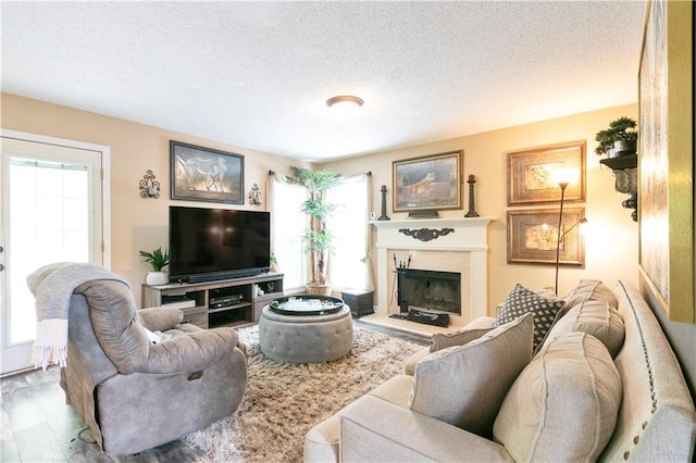 living area with a textured ceiling, a fireplace with raised hearth, and wood finished floors