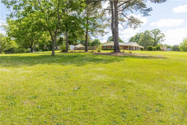 view of yard