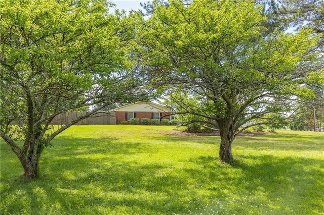view of grassy yard