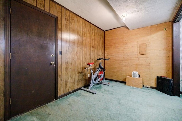 exercise room with a textured ceiling, carpet, and wood walls