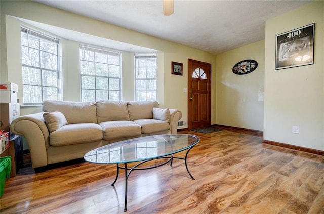 living room with ceiling fan and wood-type flooring