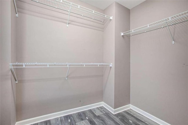 spacious closet featuring dark wood-type flooring