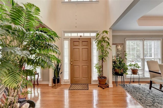 foyer entrance featuring ornamental molding and light wood-type flooring