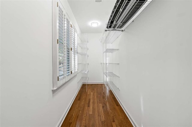 spacious closet featuring wood finished floors