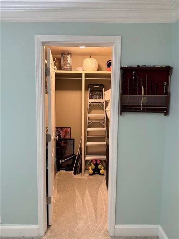 walk in closet with carpet