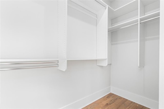 spacious closet featuring wood-type flooring