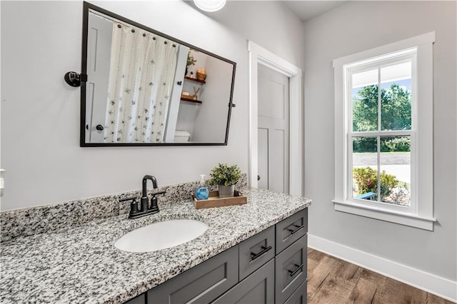 bathroom featuring vanity, hardwood / wood-style flooring, and toilet