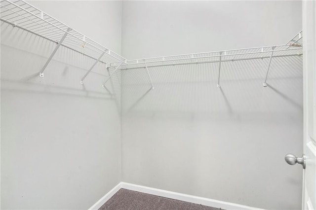 400 Bass St SW, Atlanta, GA 30310 - walk in closet featuring carpet flooring