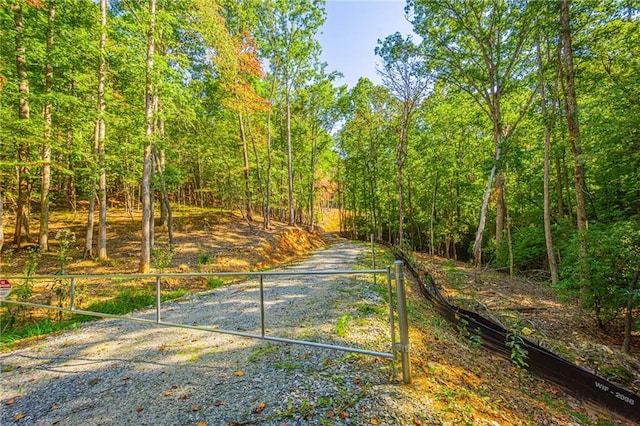 Listing photo 3 for 00 Ridgeway Rd, Dahlonega GA 30533