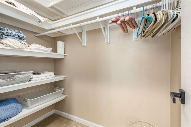 1071 Standard Dr NE, Brookhaven, GA 30319 - view of walk in closet