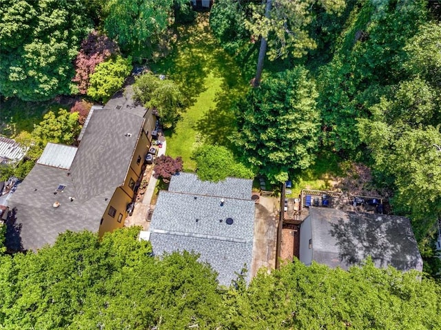 1071 Standard Dr NE, Brookhaven, GA 30319 - view from above of property