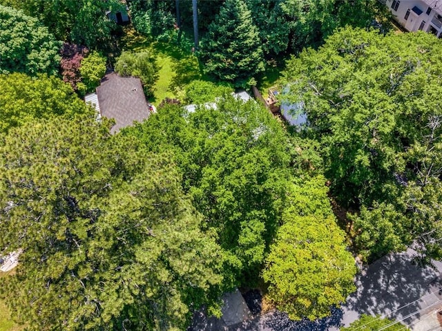 1071 Standard Dr NE, Brookhaven, GA 30319 - aerial view