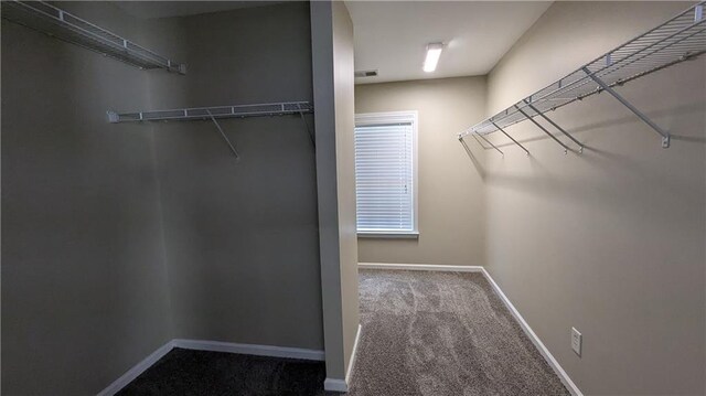 walk in closet featuring carpet flooring