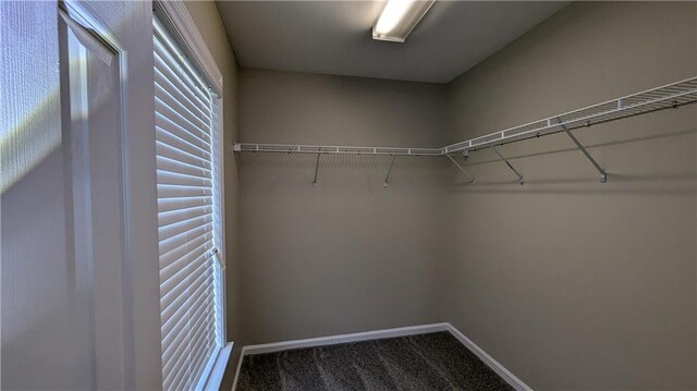 spacious closet with carpet