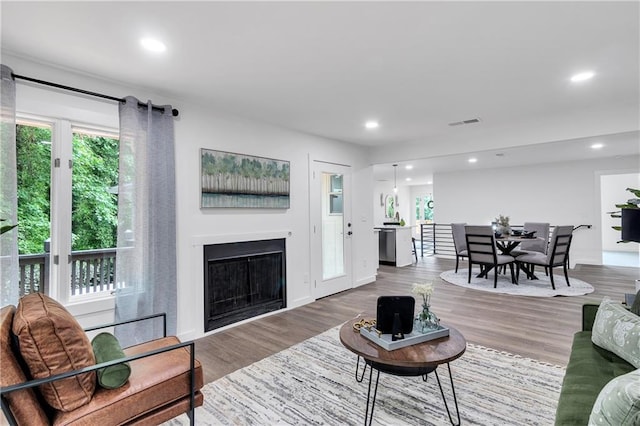 living room with wood-type flooring