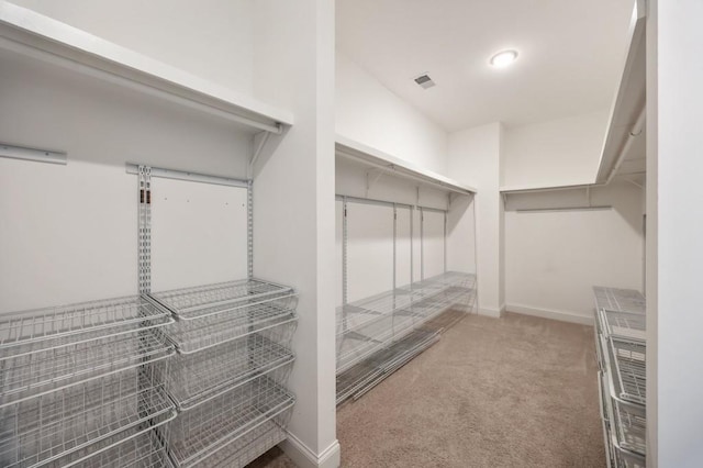 walk in closet with carpet flooring