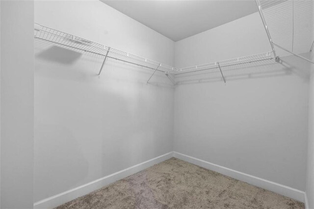55 Clubhouse Way, Acworth, GA 30101 - spacious closet with carpet floors