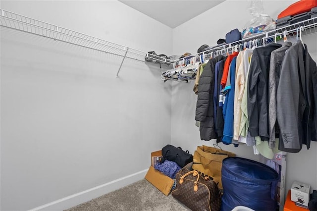 55 Clubhouse Way, Acworth, GA 30101 - walk in closet featuring carpet flooring