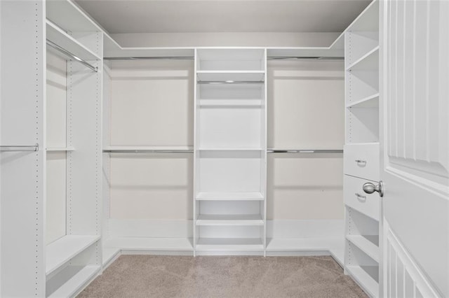 3382 Monarch Ave, Duluth, GA 30096 - walk in closet with carpet floors