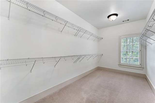 spacious closet featuring carpet