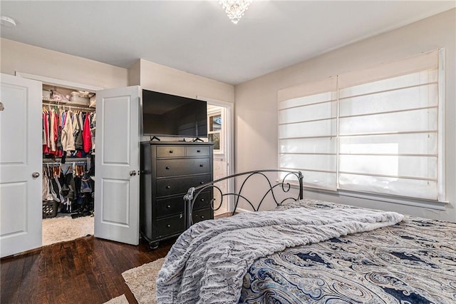 bedroom featuring a spacious closet, dark wood-type flooring, and a closet