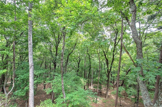 214 S View Trl, Jasper, GA 30143 - view of tree filled area