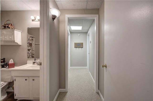 214 S View Trl, Jasper, GA 30143 - bathroom with a drop ceiling, vanity, and a shower with curtain