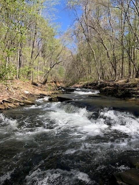 214 S View Trl, Jasper, GA 30143 - water view