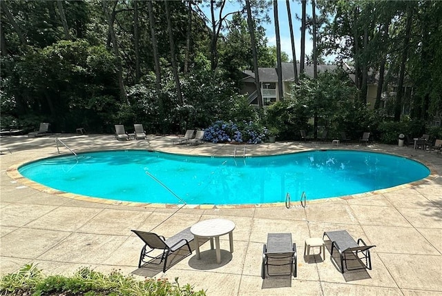 view of pool featuring a patio