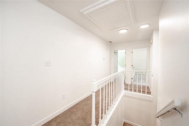 hallway featuring carpet floors