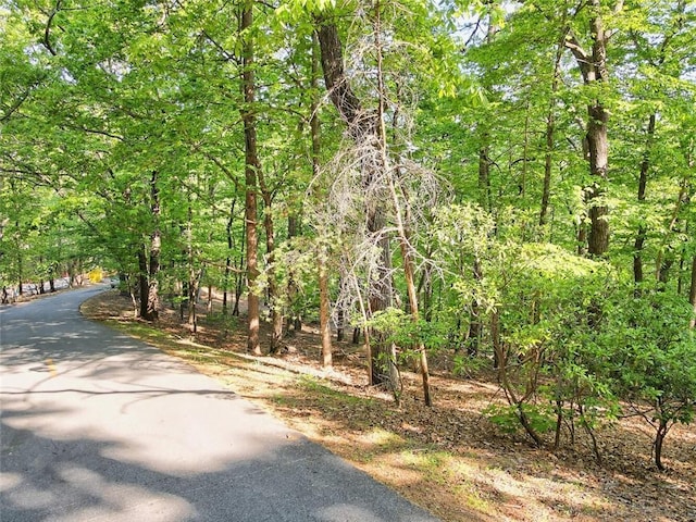 Listing photo 3 for 6368 Huckleberry Trl, Big Canoe GA 30143