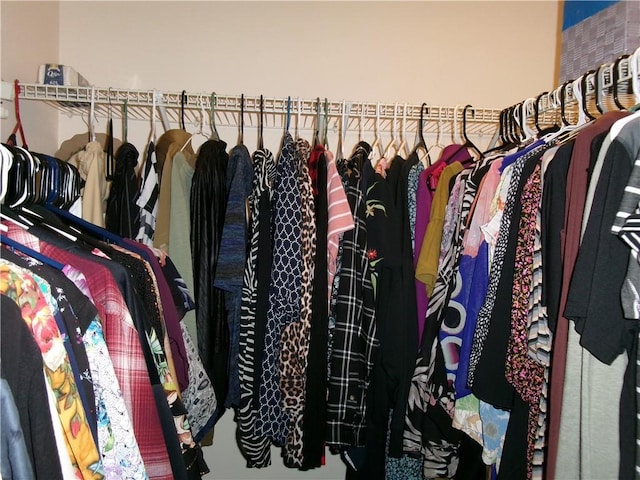 view of walk in closet