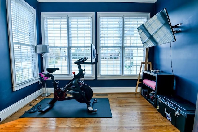 workout room featuring hardwood / wood-style flooring