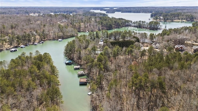 bird's eye view with a water view and a wooded view