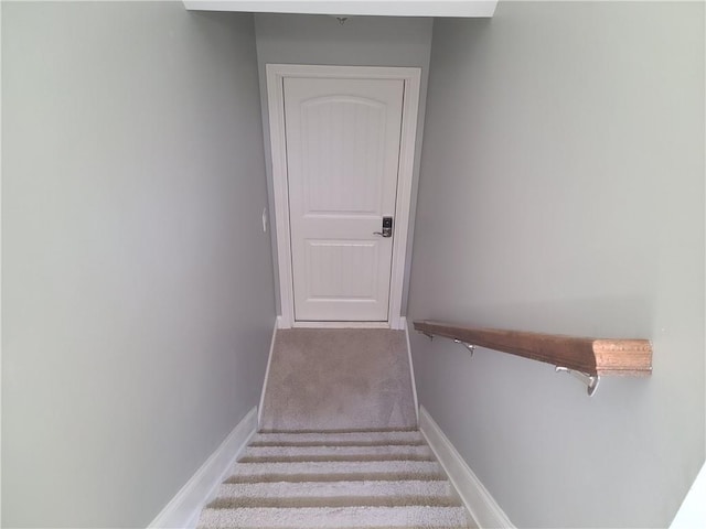 staircase with light colored carpet