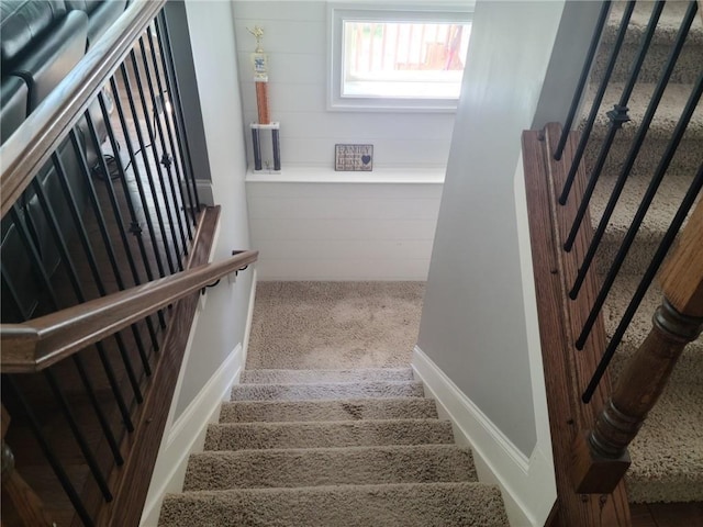 staircase featuring carpet floors