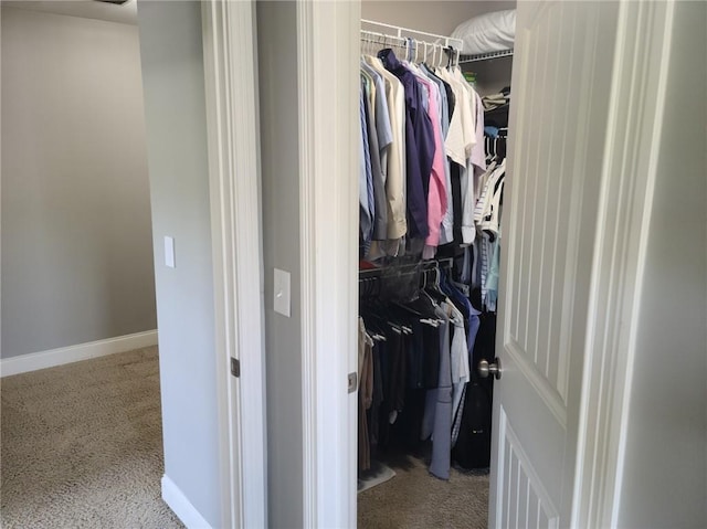 spacious closet featuring light carpet