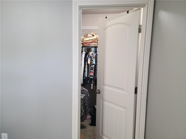 view of closet