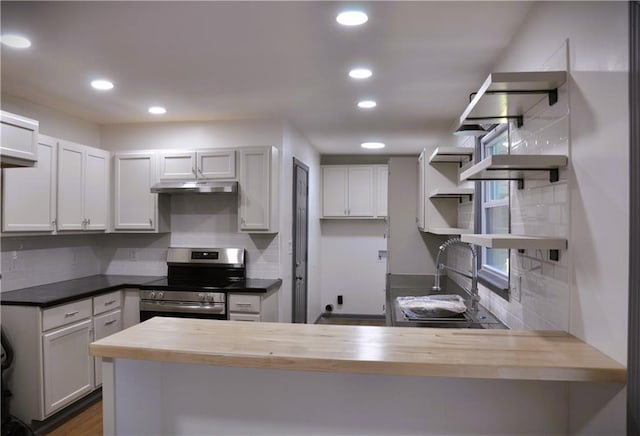 136 Rosewood Dr, Dallas, GA 30132 - kitchen featuring stainless steel electric range, open shelves, a peninsula, decorative backsplash, and under cabinet range hood