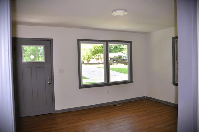 136 Rosewood Dr, Dallas, GA 30132 - entryway featuring plenty of natural light and dark wood finished floors