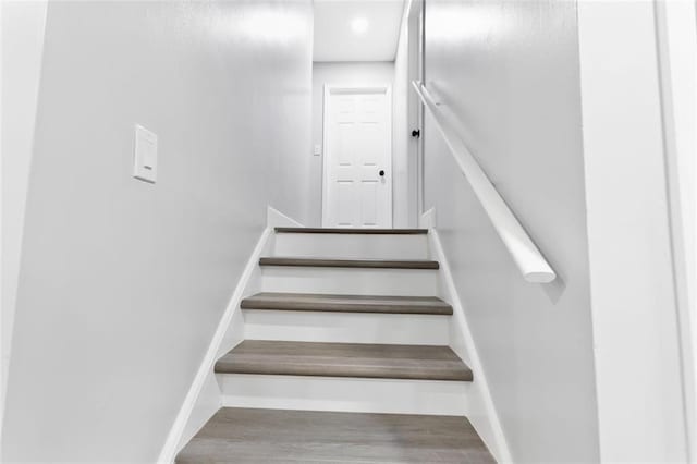 staircase featuring wood-type flooring