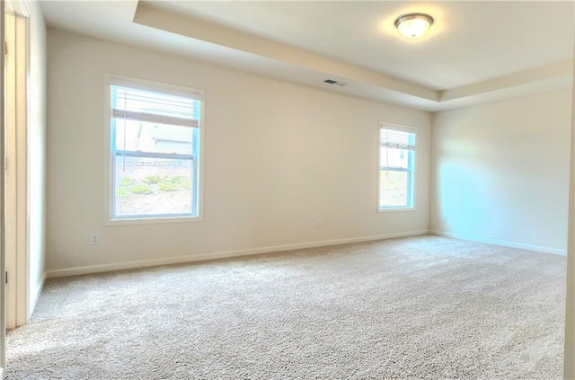 empty room with a tray ceiling, carpet floors, and a healthy amount of sunlight