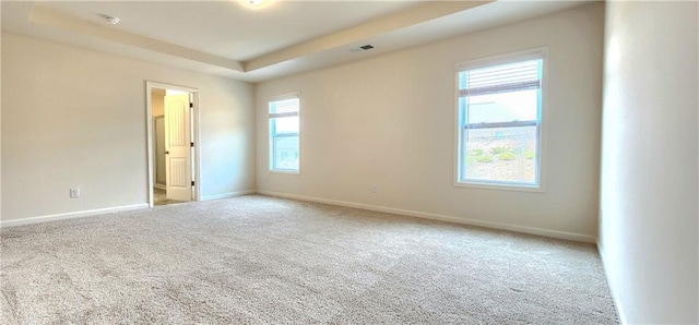 spare room featuring carpet flooring and a tray ceiling