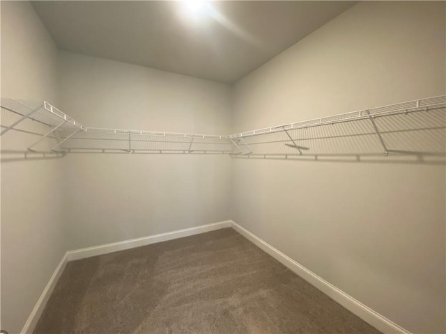 walk in closet with dark colored carpet