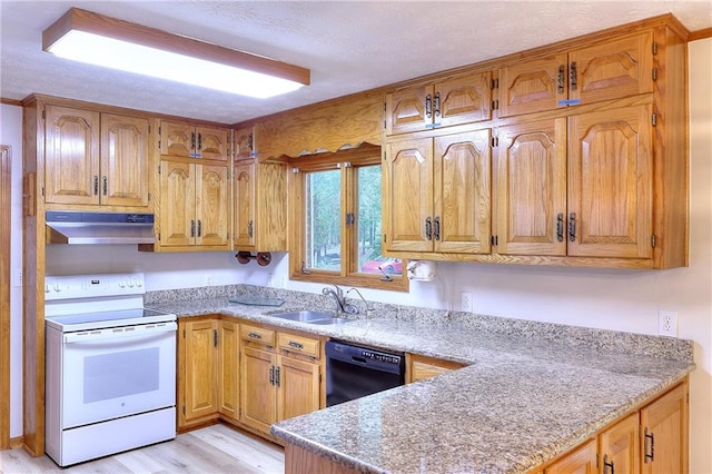 kitchen with sink, a textured ceiling, light hardwood / wood-style flooring, dishwasher, and electric stove