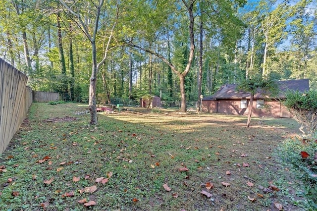 view of yard featuring a shed